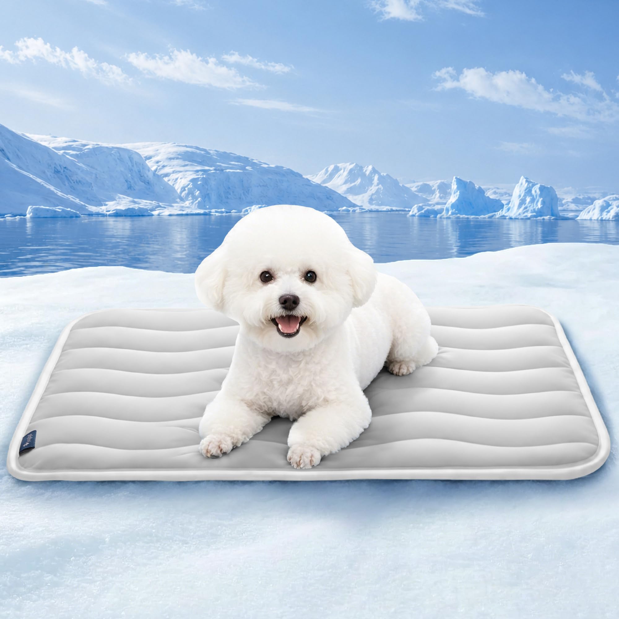 Angelpet Tappetino Rinfrescante per Cani 60x50cm, Q-MAX >0,56, Senza Gel, Antiscivolo, Lavabile, Grigio