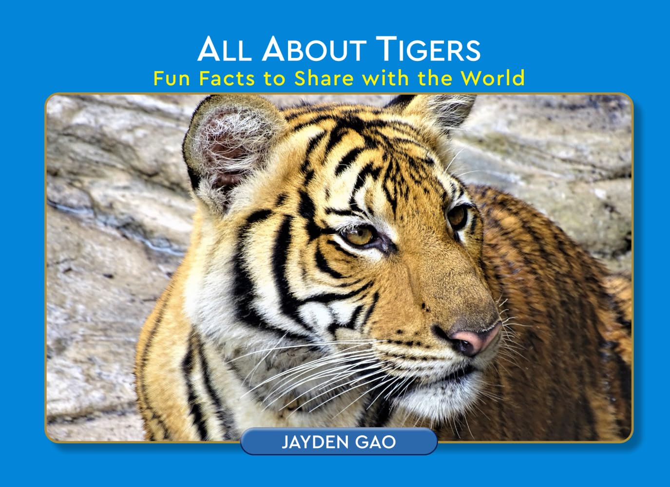 All About Tigers: Fun Facts to Share with the World