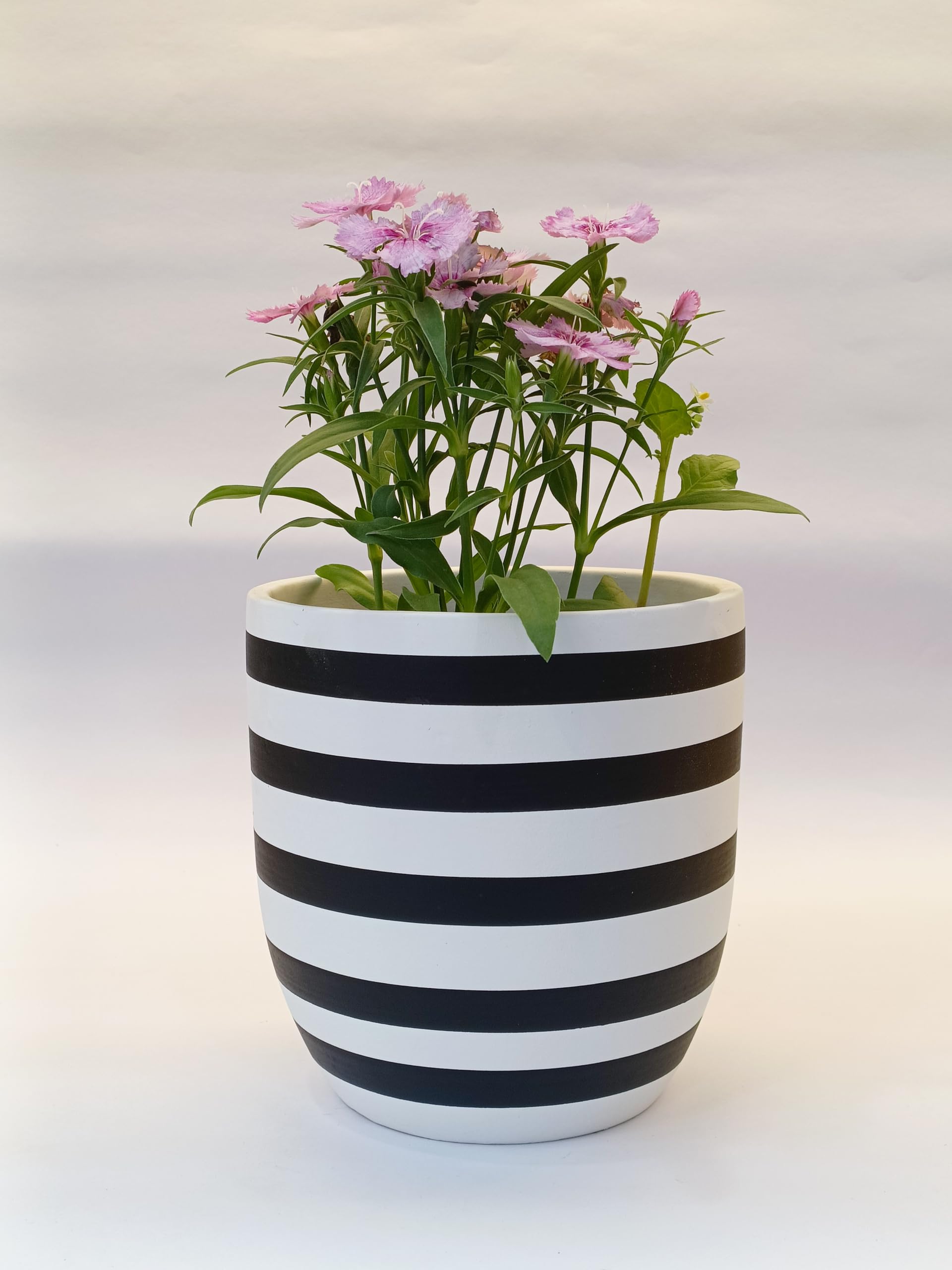 See full amazon price history chart for JASN HUT Ceramic Planter for Indoor Outdoor Home Decor Garden Office Decor Balcony Planters Gamla (Black N White Style) JASN HUT Ceramic Planter for Indoor Outdoor Home Decor Garden Office Decor Balcony Planters Gamla (Black N White Style) (B0CSPMGC7T) Amazon Price History, Amazon Price Tracker