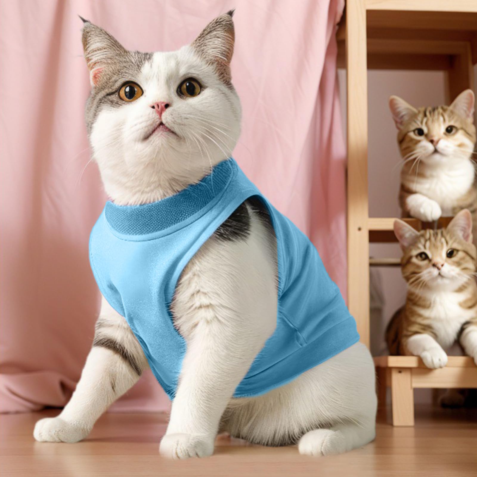 Amexo Cat Surgery Recovery Suit Cat After Surgery Bodysuit for Abdominal Wounds or Skin Diseases Kitten Surgical Onesie E-Collar Alternative for Cats and Dogs (Blue - Image 4