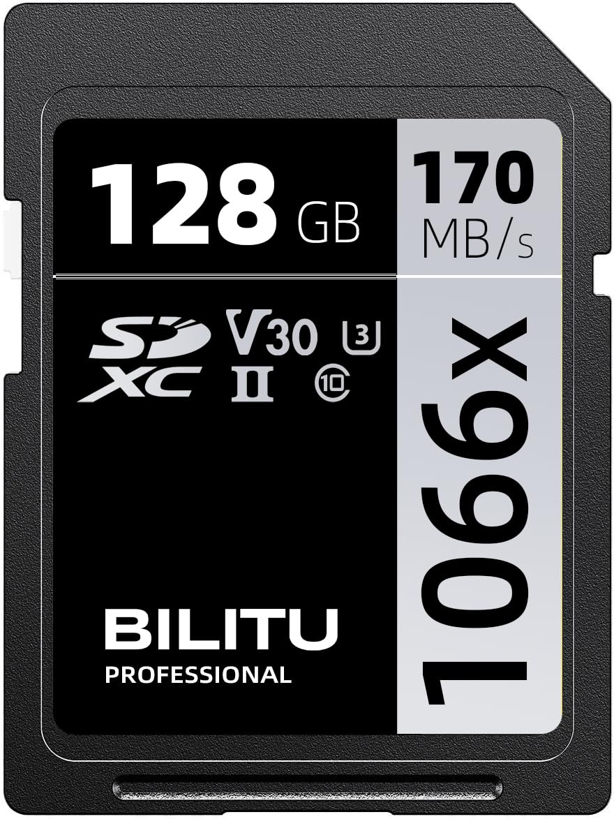 Amazon.com: BILITU 64GB SD XC 1066X V30 Professional 170MB/s