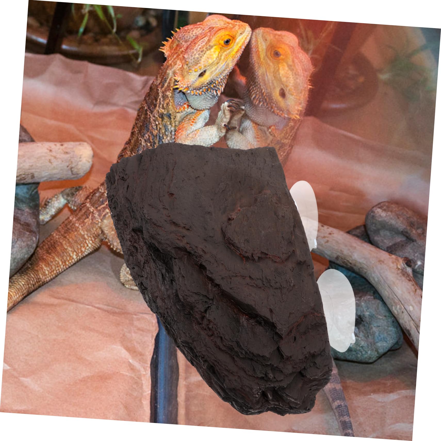 Plataforma Tortugas Acuario Plataforma Sol Reptiles Decoración Acuario Refugio Tortugas