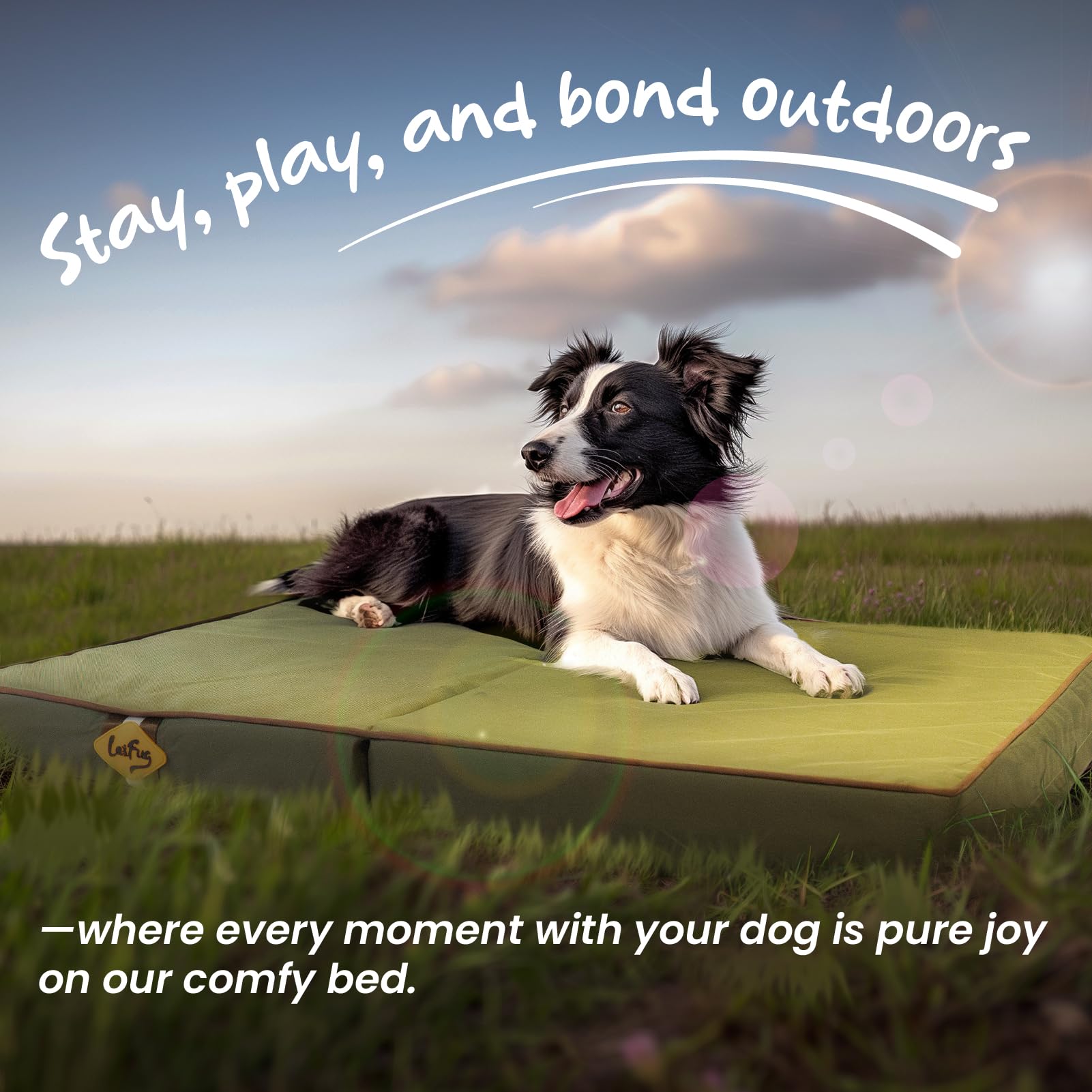 Laifug Cama Plegable Impermeable para Perros Grandes, Cama ortopédica para Perros al Aire Libre con Funda extraíble Lavable, colchón para Mascotas con Asas, Verde Militar (44 x 32 x 3.5 Pulgadas)