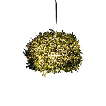 Amazon | 【メーカー公式限定2年保証】DI CLASSE Orland-big