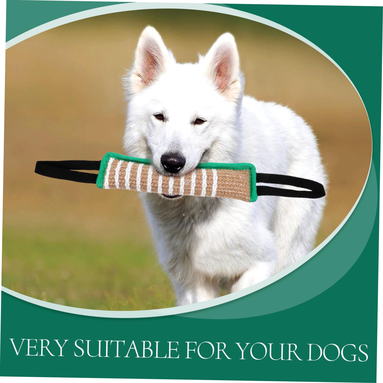 BESPORTBLE 5 Piezas De Juguetes para Tirar De Perros Almohadas Theow Almohadas De Cama Suministro para Perros Juguete Interactivo De Entrenamiento para Juguetes Chirriantes