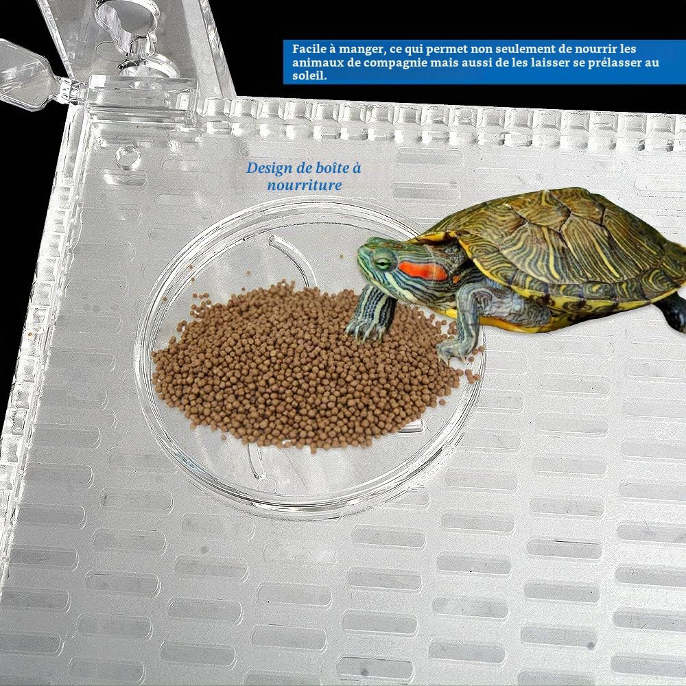 Grande plate-forme pour tortues - Rampe pour tortues - Accessoires pour tortues - Avec échelle rocheuse - Pour installation d'aquarium (L)