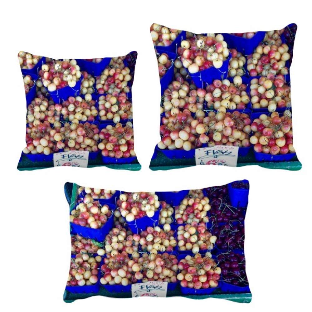 Housse de coussin motif cerisier pour deco de canape ambiance zen salon