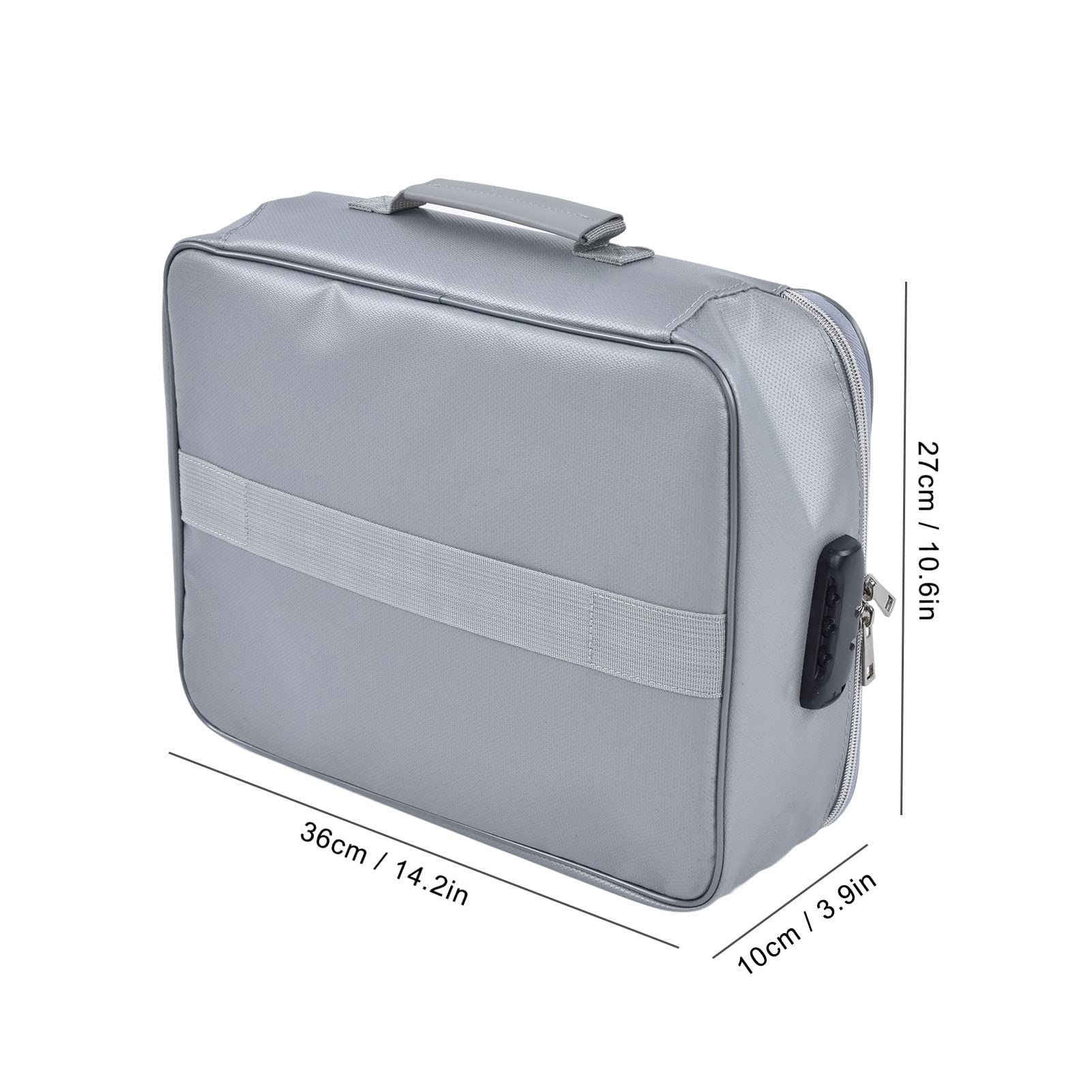 Borsa portadocumenti ignifuga, Custodia organizer per documenti con serratura, Cassetta di sicurezza ignifuga di grande capacità per file, contanti, gioielli, passaporto, (Argento)