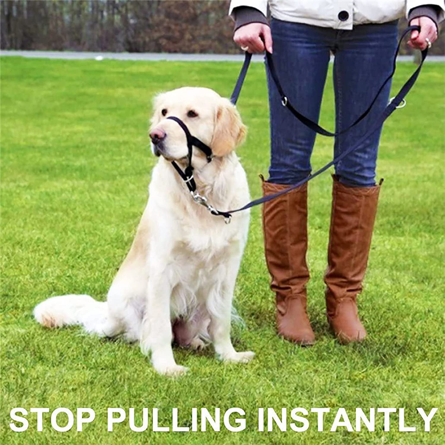 Licol pour Chien,Le Collier Anti-Traction de Dressage pour Chiens,Outil de Dressage pour Chien,Harnais Professionnel pour Chien,Muselière pour Chien,Le Dressage du Chien,5 Tailles (XL)