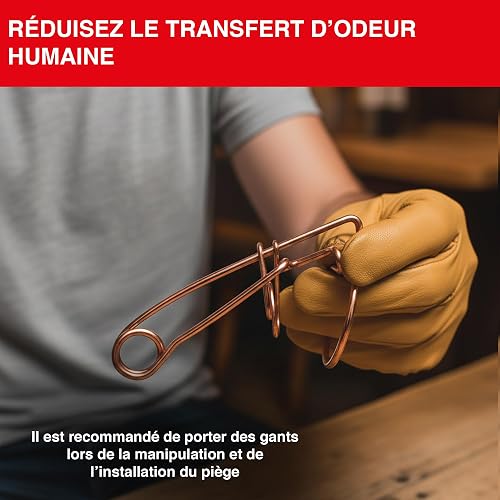 SWISSINNO Piège à Campagnols – Piège Mécanique en Métal pour Galeries Souterraines – Réutilisable, Robuste et Facile à Installer – 2 Pièges - 7