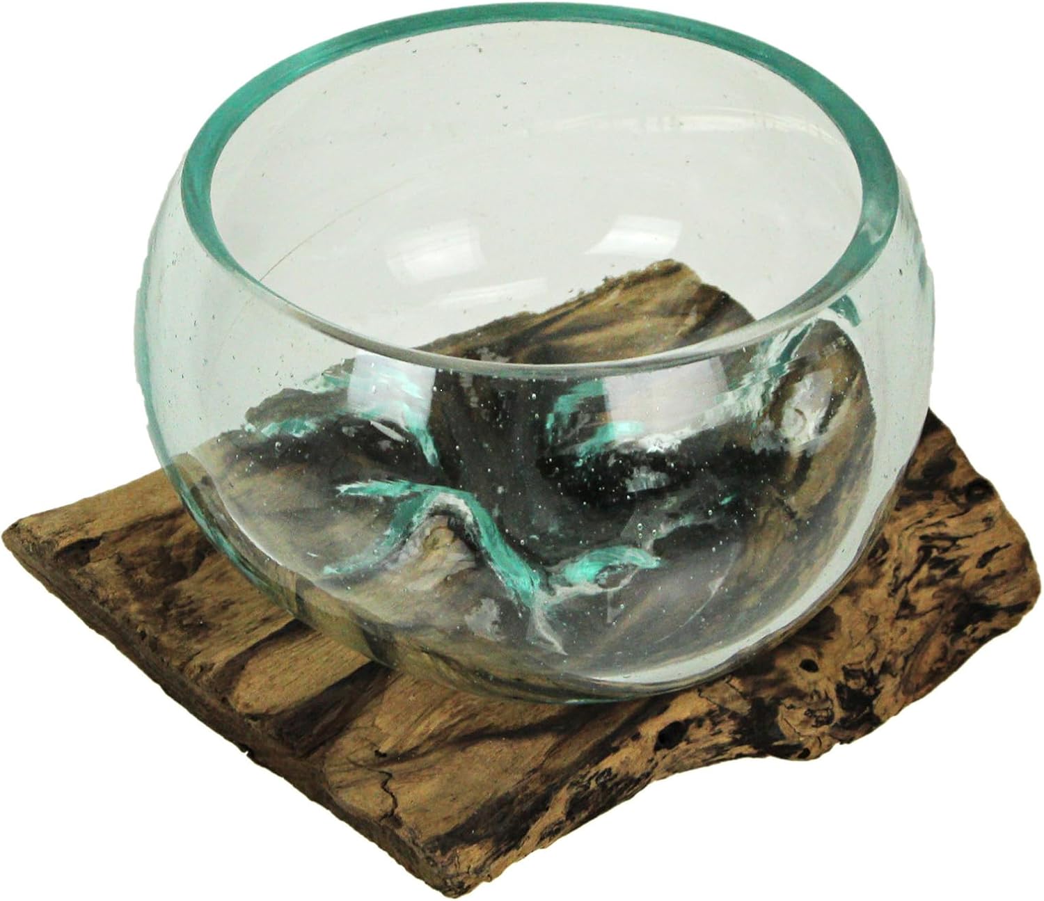 Medium Wide Mouth Molten Glass on Teak Driftwood Decorative Sculptural Bowl, Vase, and Terrarium Planter - Approximately 5 Inches High