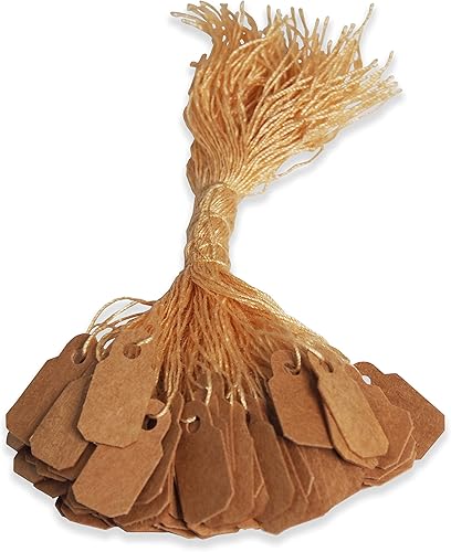 888 Display 100 Etiquetas de precio de cadena de papel Kraft Exhibición de venta de anillos de joyería (100 piezas)