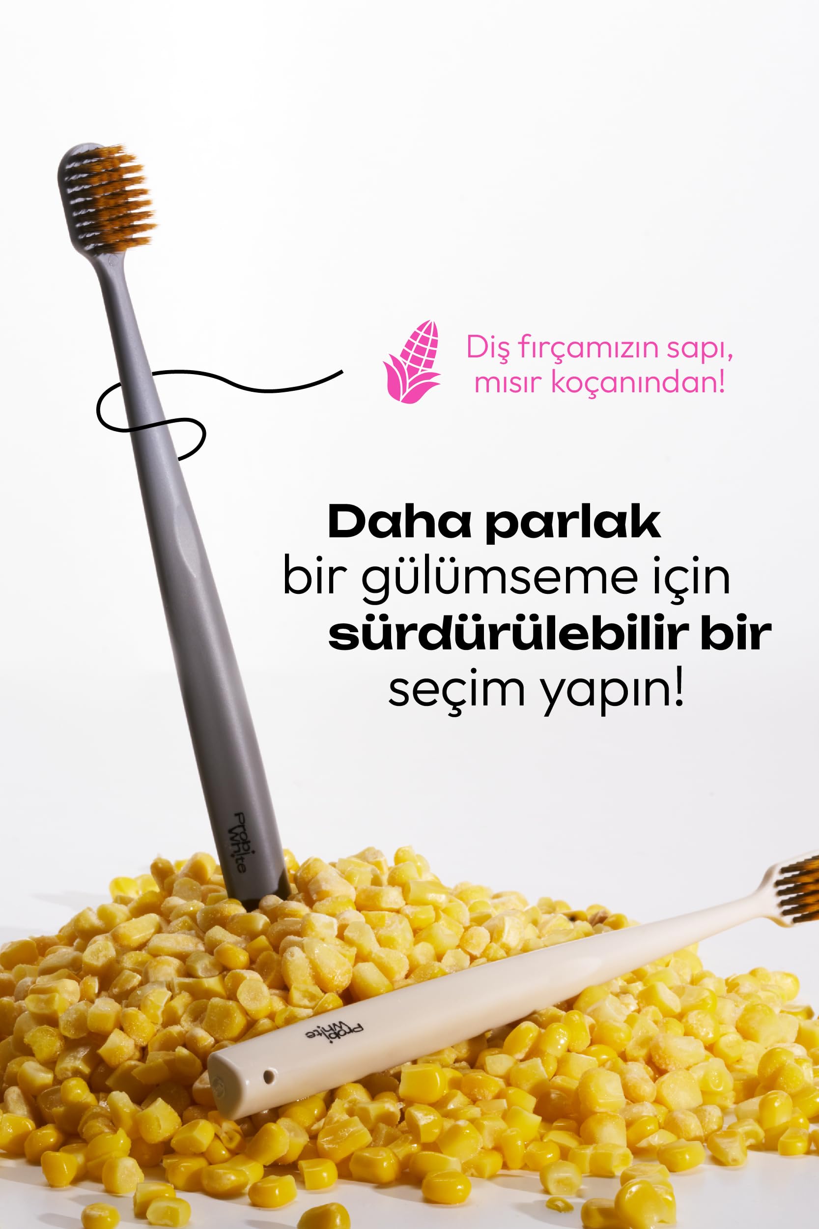 Probident Diş Fırçası Himalaya - Gri