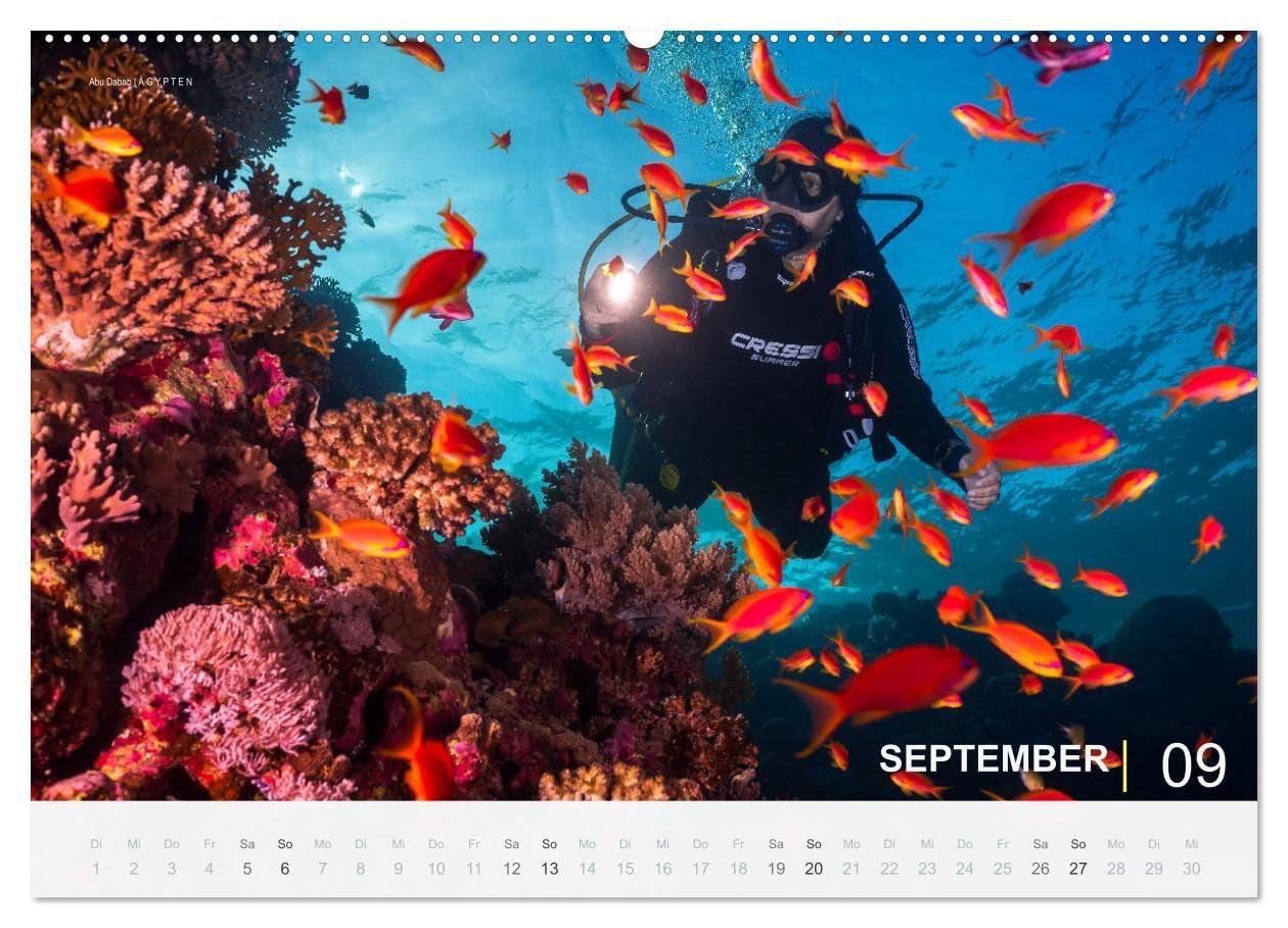 Einfach Tauchen - Wunderbare Tauchplätze und Korallenriffe (Wandkalender 2026 DIN A2 quer), CALVENDO Monatskalender: Farbenfrohe Unterwasserfotos der beliebtesten Reisezielen für Taucher.