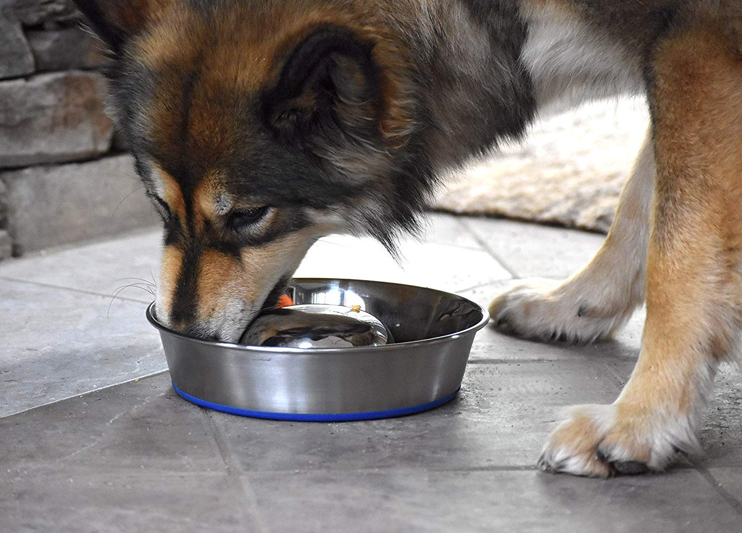 OurPet's DuraPet Slow Feed Premium Stainless Steel Dog Bowl, Silver (2040010301) - image 5