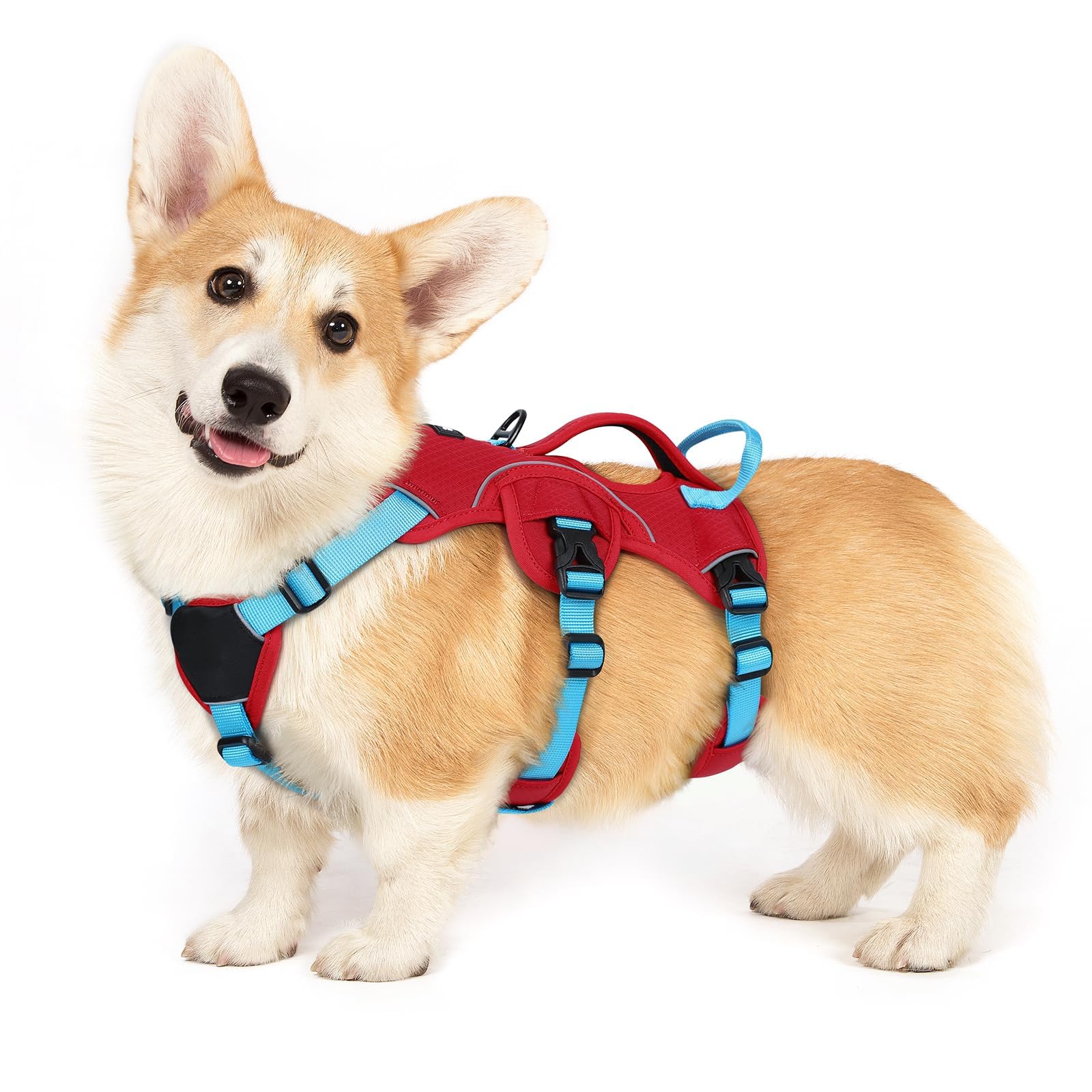 rabbitgoo Escape Proof Dog Harness Small Dog with Large Handle, Red & Blue