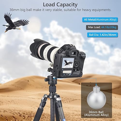 Miniatura 2 de Cabeza de bola de trípode de perfil bajo 1.417 in Estabilidad Panorámica Cabeza de trípode 360 Rotación de metal con placa Arca QR de 1/4 de pulgada