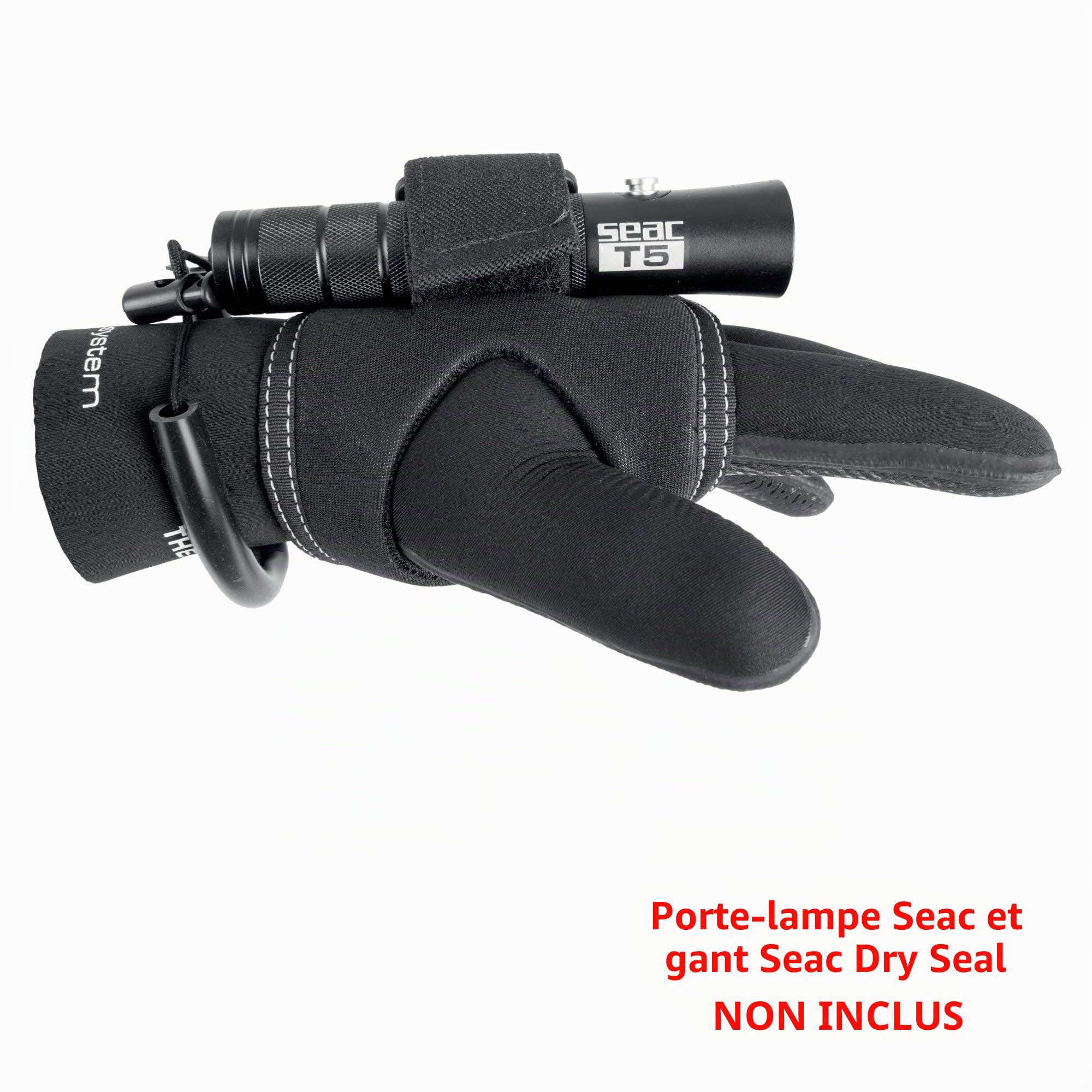 SEAC T5, Torche de plongée en Aluminium avec Verre Optique trempé, 300 Lumen, Cree XPG2 LED, Dimensions 14.4x3.2 mm