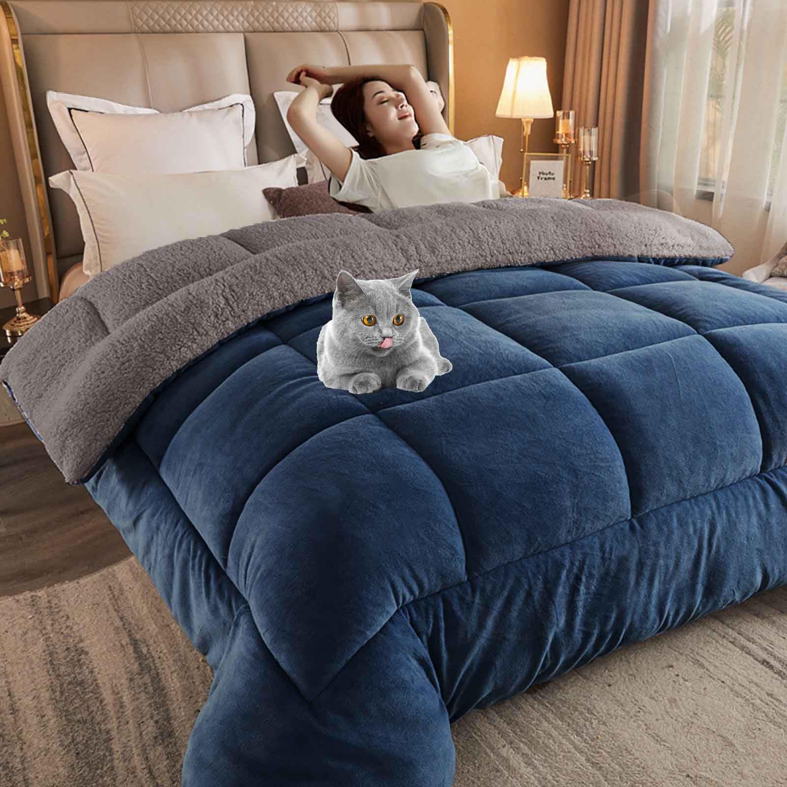 HLTQL Quilt Winter Lamb Velvet King,Thicken Winter Warm Lamb Velvet Comforter,Winter Duvet, Super Soft Warm Lamb Wool Quilt,Suitable for Autumn Winter(05,Pillowcase)