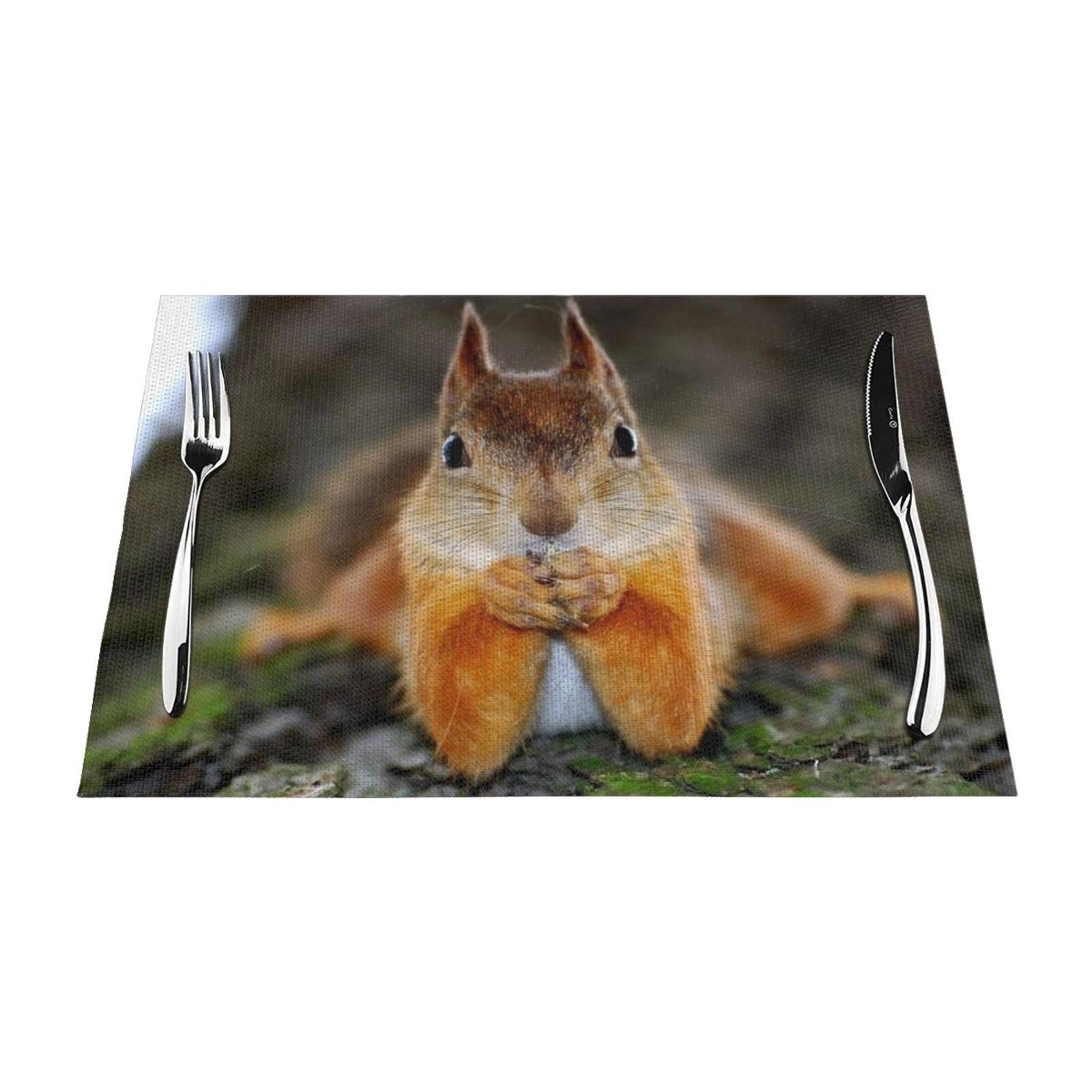 PVC Placemat Set of 4 PCS, 45x30 CM, Funny Squirrel Printed Non-Slip Heat Resistant Place Mats for Kitchen Dining Table Indoor Outdoor