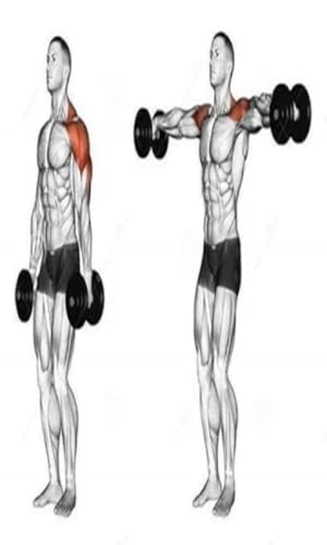Training Body Building free