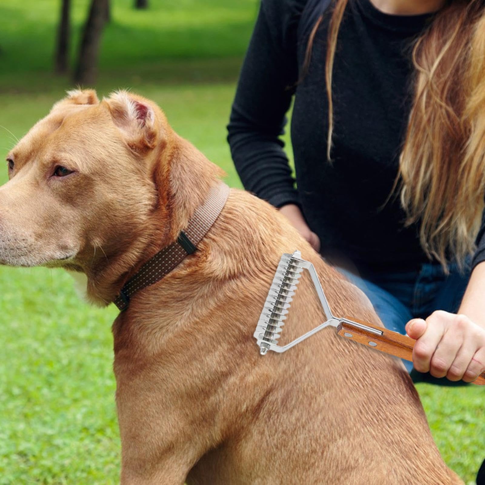 Spazzola Rastrello per Cani Pettine Doppia Faccia per Pulizia degli Animali