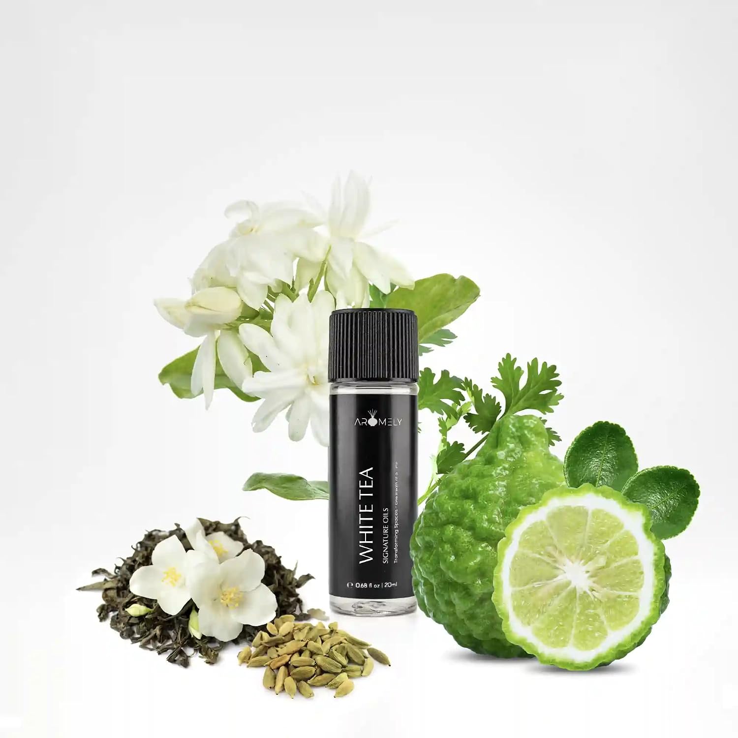 White Tea | Signature Diffuser Aroma Scent | Luxurious Fragrance with Notes of White Tea, Bergamot, Cardamom, and Jasmine | Oil for Waterless & Cold Air Diffusers (20ml)