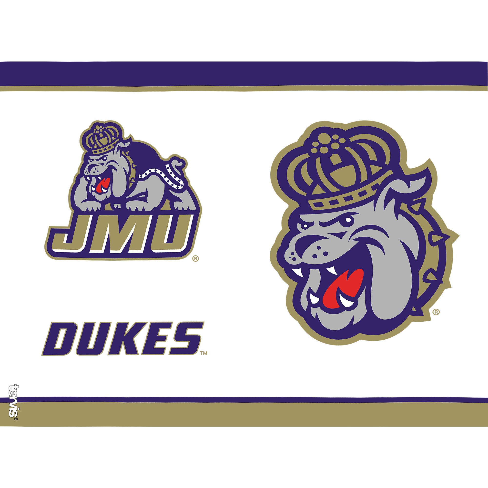 Tervis 1343726 James Madison Dukes Tradition Isolierter Becher mit Wickelverschluss und violettem Deckel, Titan, durchsichtig