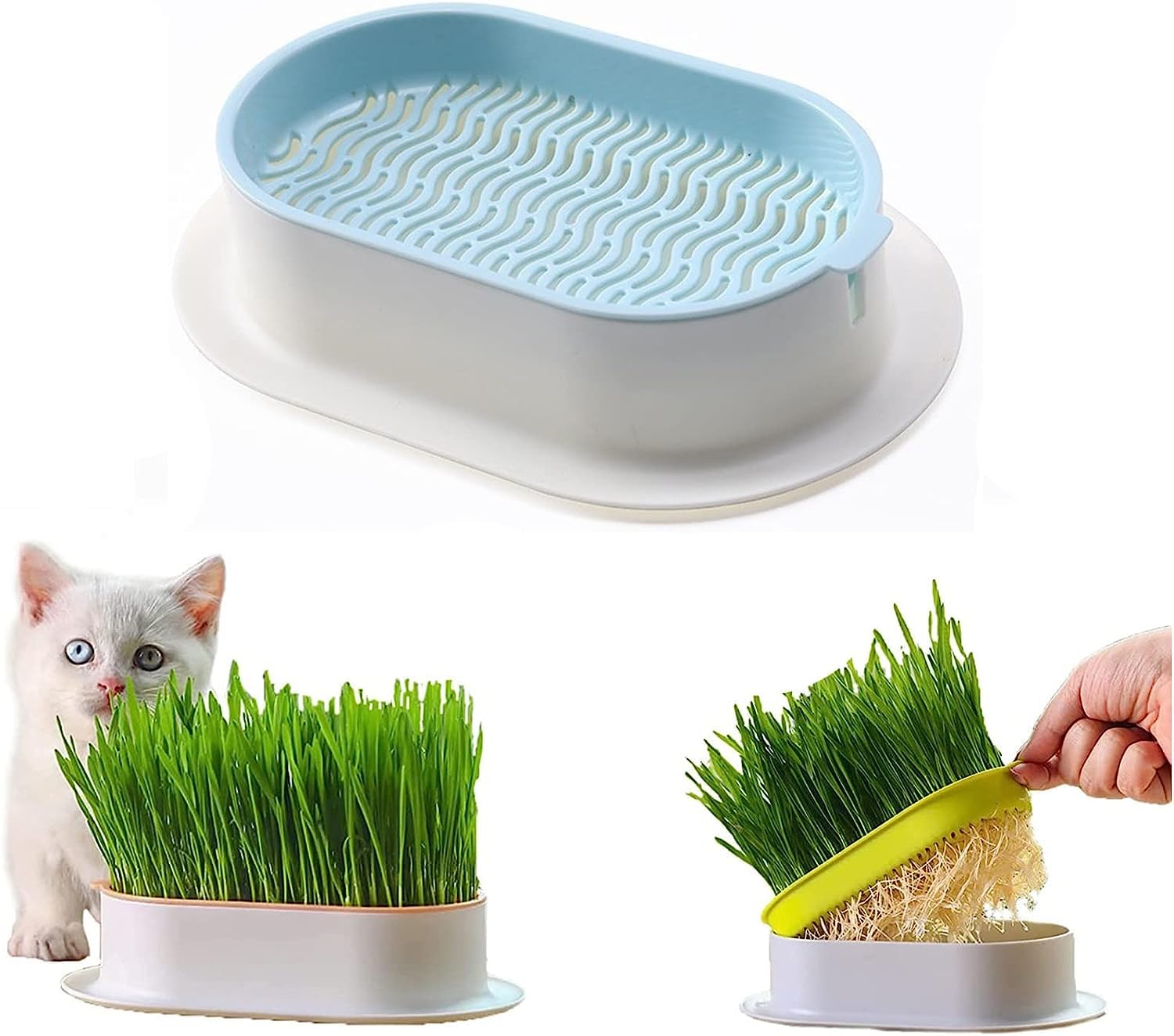 JUNJIL Cat Grass Planter - Hydroponic Plant Convenient Box for Indoor Use, No Seeds Included