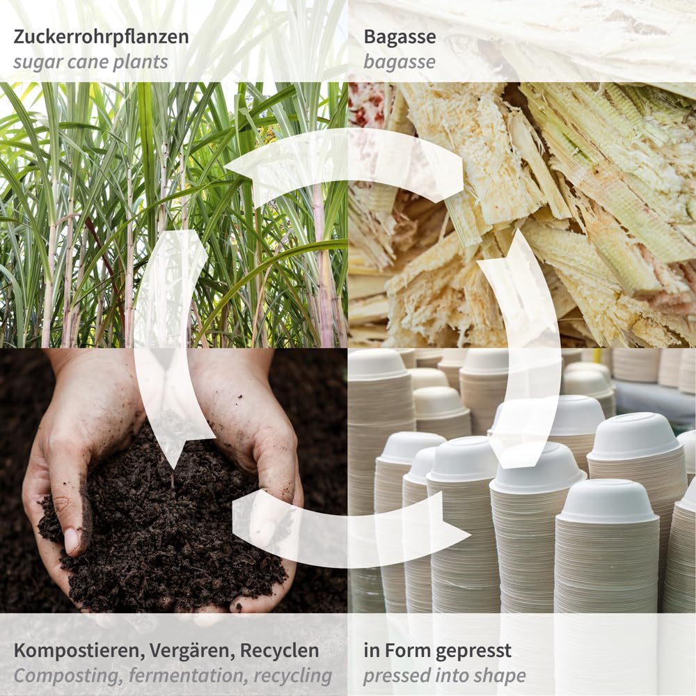 FRANZ MENSCH NATUREStar Bio Hamburgerboxen mit Klappdeckel, 150 x 150 x 85 mm | aus Zuckerrohr, 500 Stück, Einweggeschirr, Menübox Take Away, Klappboxen