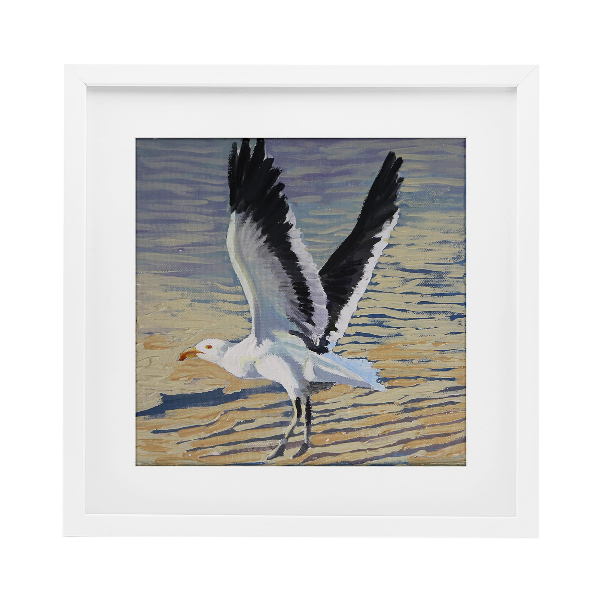'Seagull Taking Flight'| Framed Print Under Glass