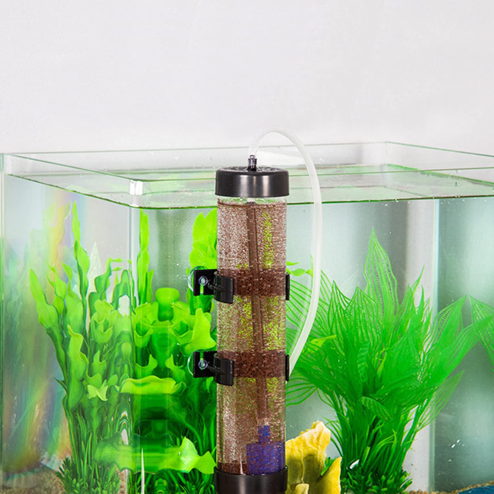 Shrimp Eggs Incubator, Eggs Hatchery Kit Convenient Practical Non Toxic for Brine Shrimp Eggs for Aquarium - Image 4