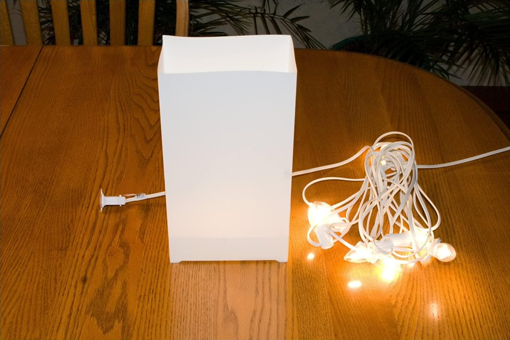 9/mo Finance Elf Logic Set of 10 Electric Luminary Bags