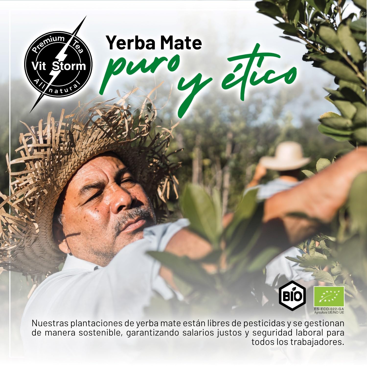 Yerba Mate BIO Slim con Frutas y Hierbas Depurativas – Surtido de Tés e Infusiones a Granel 4×100 g | Pack de Tés Premium 100% Ecológico | Infusiones Regalo | Energizante, Digestivo, Drenante y Detox