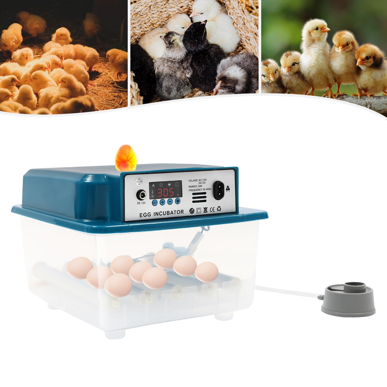 Incovatrice automatica 16 uova, temperatura controllo & automatico Egg Turner per varie uova, incubatrice polli, fagiani