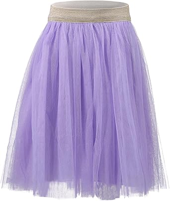 Toddler Baby Girls Tutu A Line Knee Length Tulle Layered Long Party Skirt for Little Big Girls 1T-16T