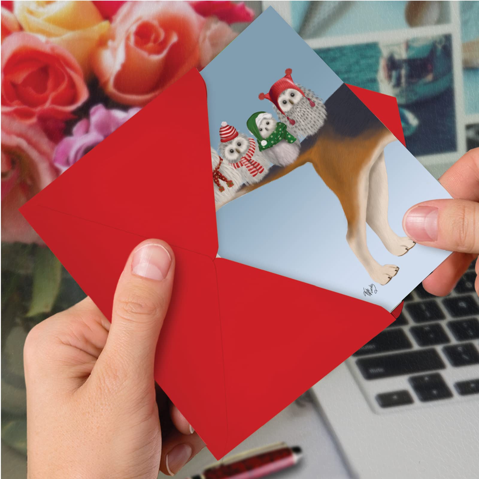 The Best Card Company Noel Animals-Owls C9558JXSG-B12x1 Lot de 12 cartes de vœux de Noël avec enveloppes 12 x 17 cm