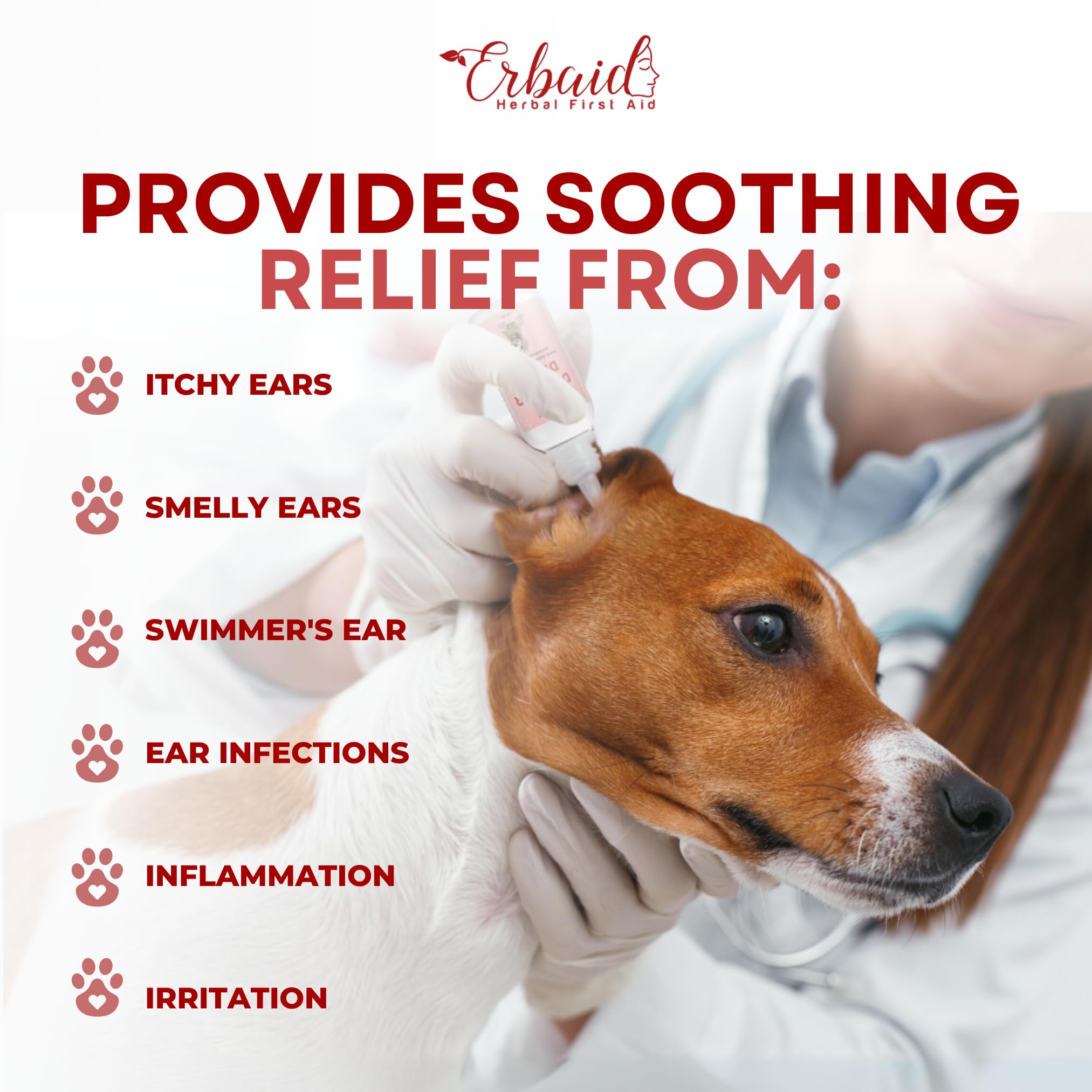 Dog Ear Cleaner – All Natural Ear Drops for Dogs Ear Infection – Eliminates Yeast Odor, Loosens Wax, Prevents Infections, Relieves Itching – Safe, Gentle, Effective Itchy Ear Relief, Made in USA - image 2