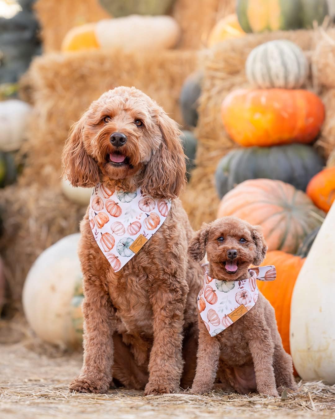 Remy+Roo Fall Dog Bandanas 4 Pack - Amber Set, Premium Durable Polyester Fabric, Patented Curved Design, Adjustable Fit for Small, Large, and XL Dogs, Trendy Patterns, Dog Fall Bandanas (Large)