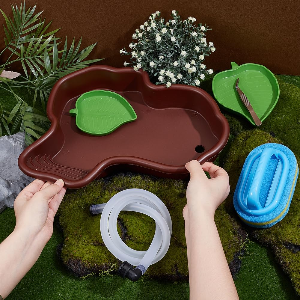 OLYCRAFT 5 piezas/set cuenco de agua para tortugas con comederos para reptiles y cepillo de limpieza antideslizante bañeras hábitat reptiles baño conjunto para tortugas ranas cordero lagartos