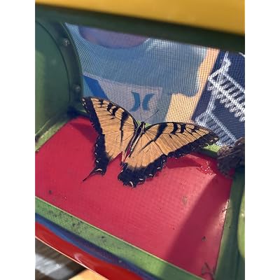 ubuy Guatemala
