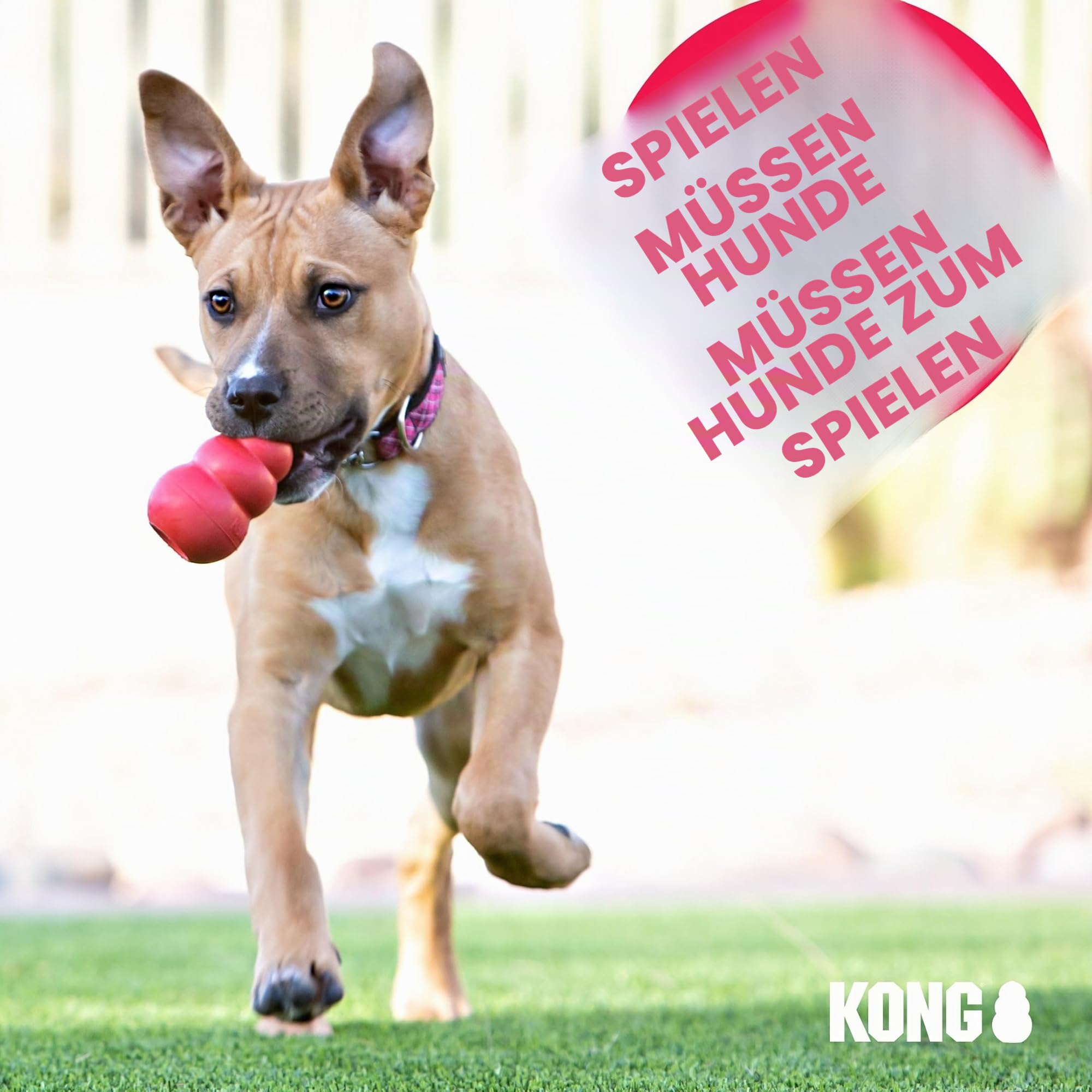 KONG – Rewards Ball – Besonders Robuster Interaktiver Leckerlispender – Für Große Hunde