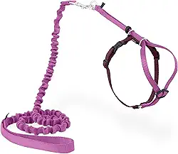 PetSafe Venha comigo, arnês para gatos, pequeno, rosa empoeirada/vinho