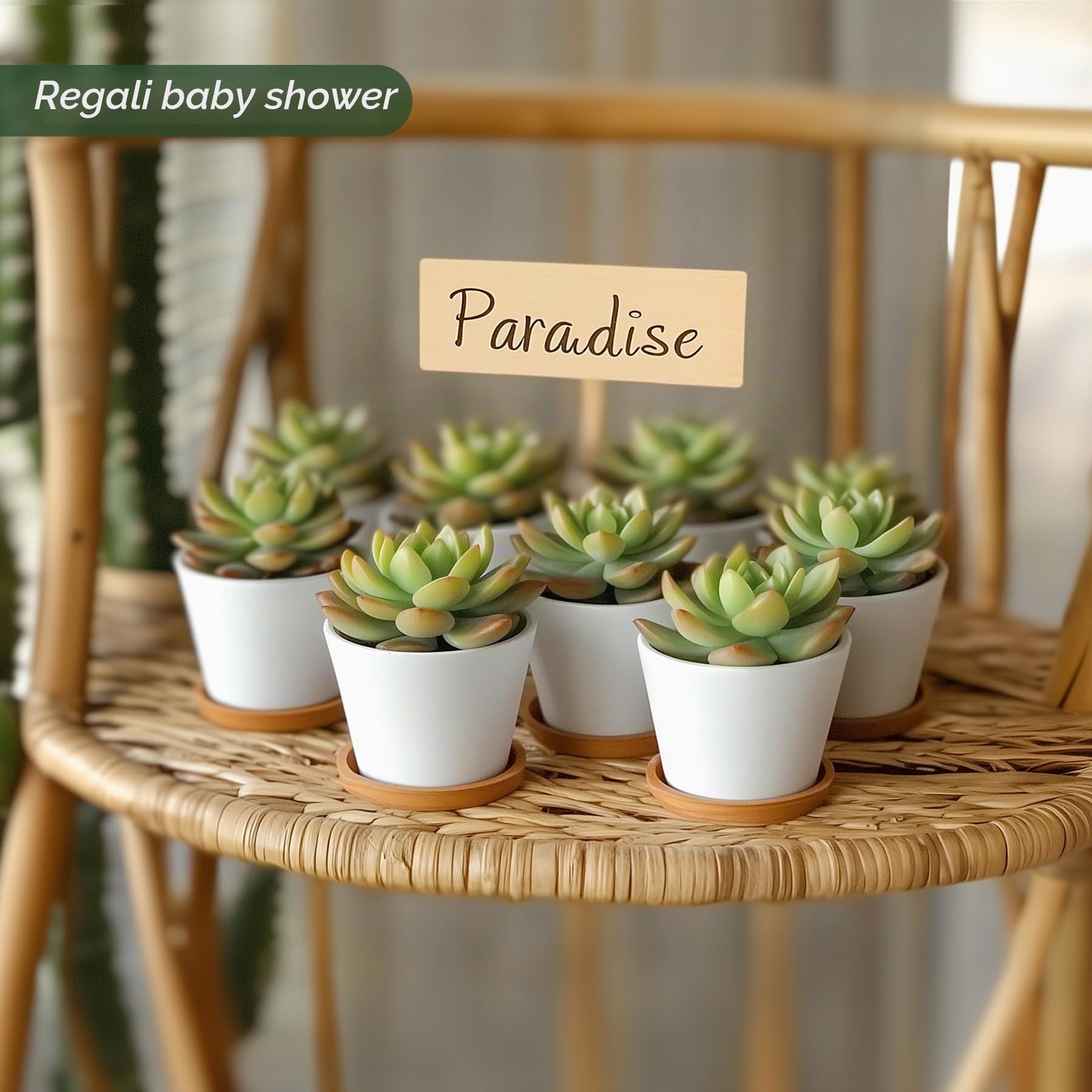 T4U vaso per piante da interno bianco rotondo con sottovaso, vaso piante grasse per cactus, set da 12, per uso dedicato agli amanti delle piante, decorazione per scrivania, scaffali e finestre
