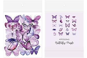 Shimmering Butterfly Decals for Footwear
