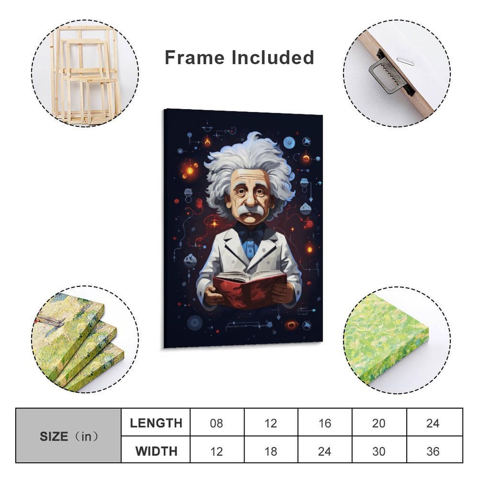 Amazon.co.jp: アルベルト・アインシュタイン Albert Einstein