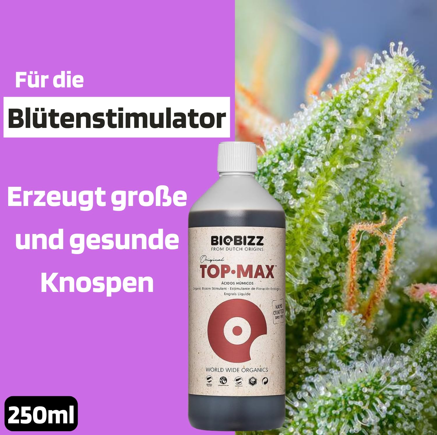 Biobizz Dünger Set | Pflanzendünger Starterset GrowSet Indoor | Naturdünger | Flüssiger + Calmag