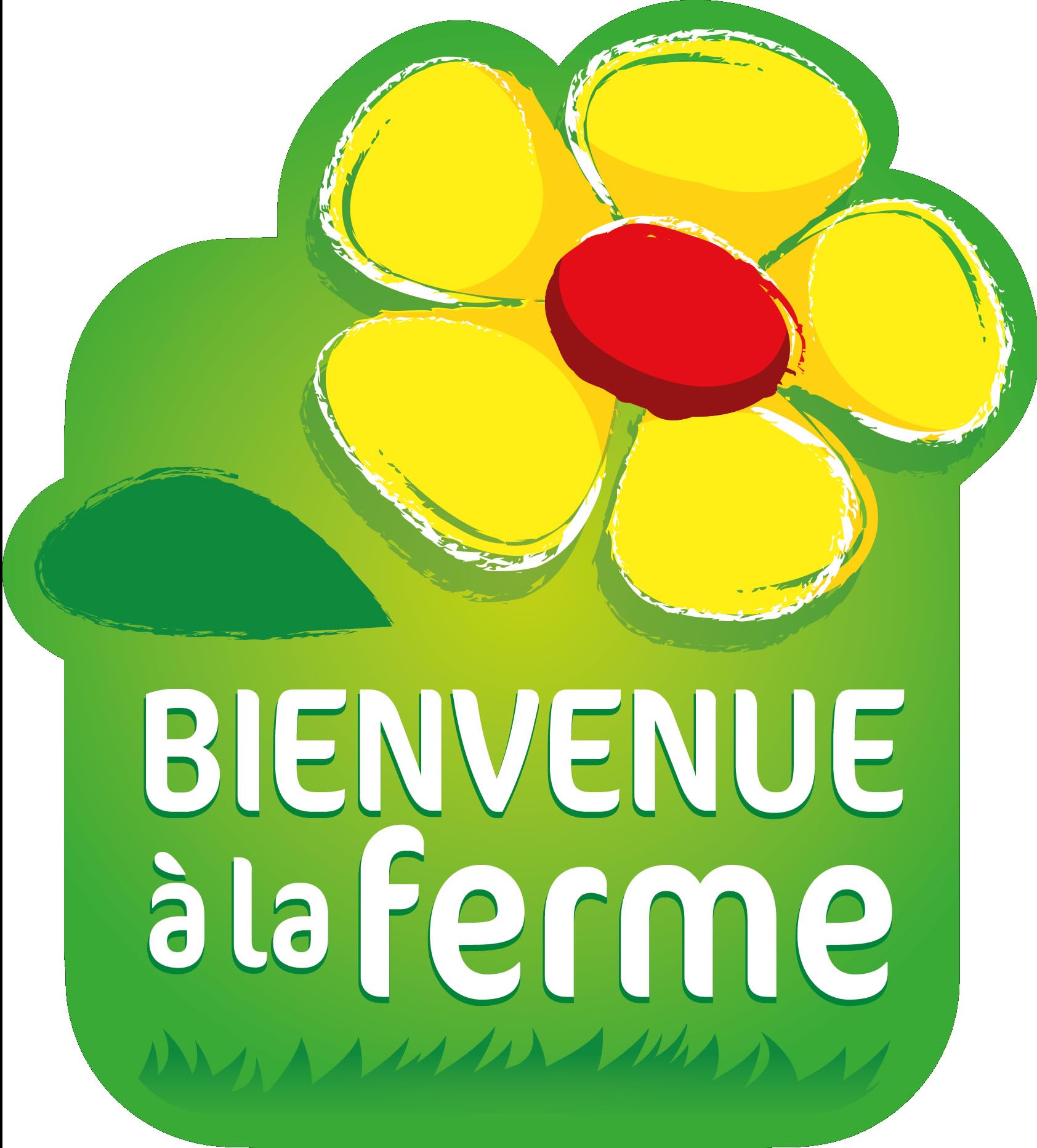 Miele biologico della Normandia (1 kg), deliziosamente cremoso e raccolto a freddo | origine Francia | certificato BIOLOGICO | Naturale | Non riscaldato | Non pastorizzato | La Mare aux Abeilles.