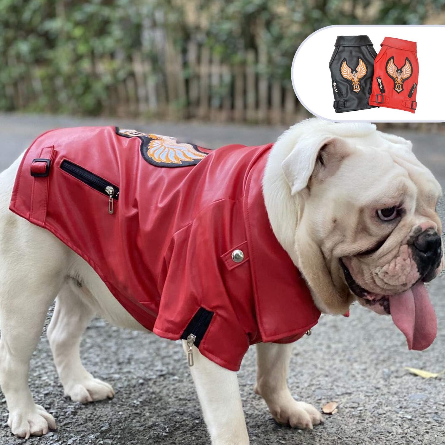 dog leather jacket amazon