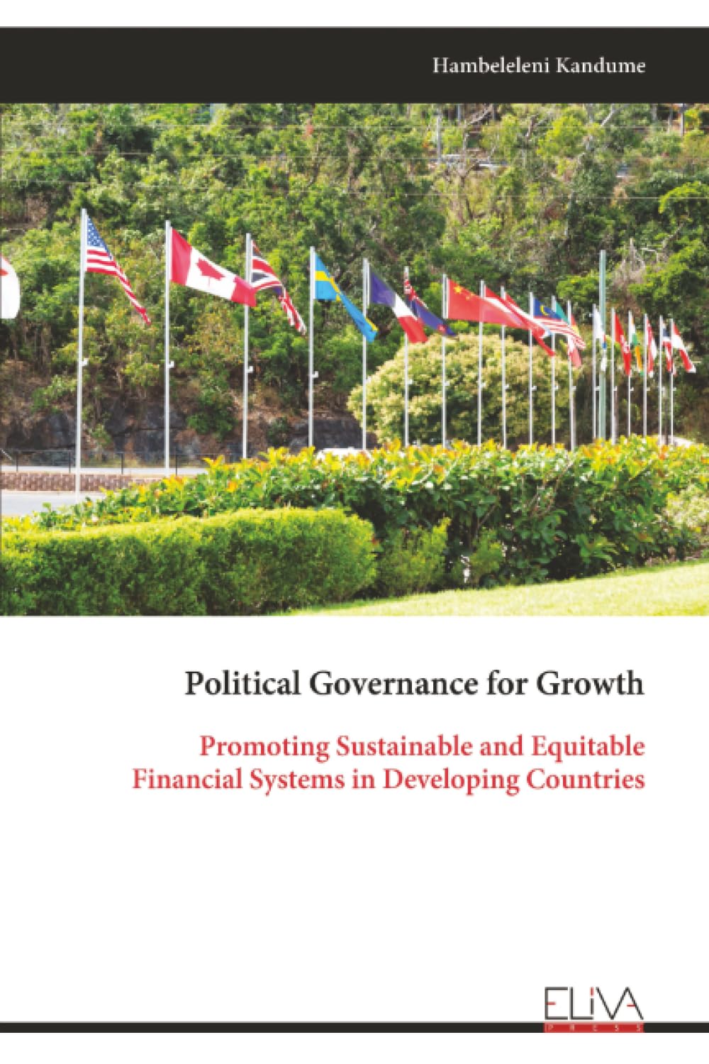 Political Governance for Growth: Promoting Sustainable and Equitable Financial Systems in Developing Countries